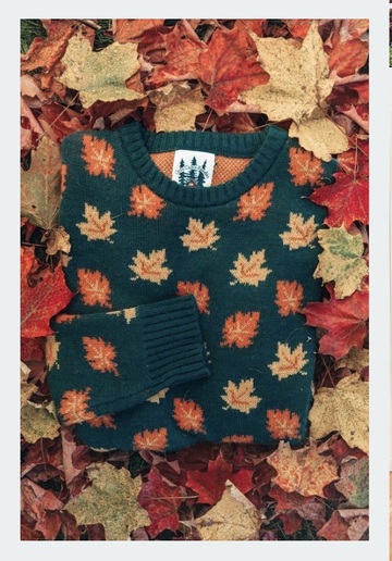 sweater,leaves,sweater weather