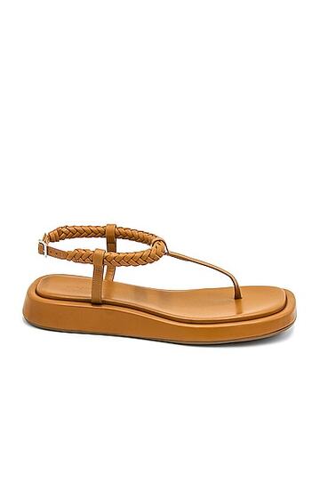 gia borghini x rhw flat thong sandal in brown
