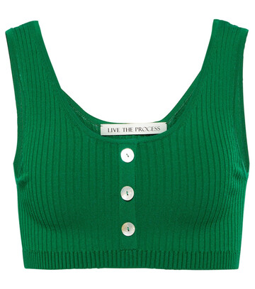 Live The Process Saros ribbed-knit jersey bralette in green