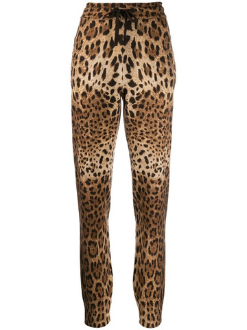 Dolce & Gabbana cashmere leopard print track pants in brown