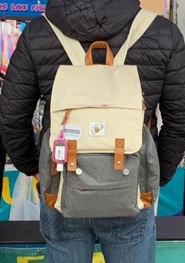 bag,jamie lynn spears’ diaper  backpack,not birch bag,bumble bee logo,beige and gray