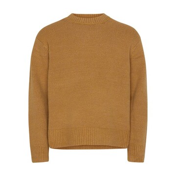 acne studios sweater in brown