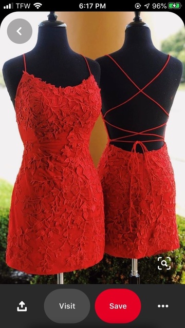 dress,red,homecoming dress,embroidered dress