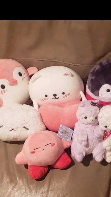 home accessory,bear,cats,stuffie,stuffed animal,plushie,stuffed,toy,heart