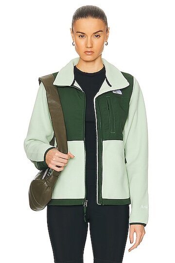 the north face denali jacket in green