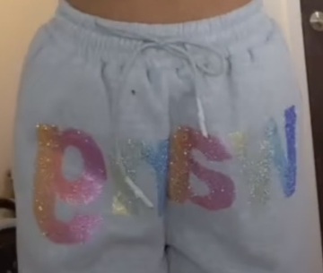 pants,alexander wang,grey sweatpants,glitter,rainbow