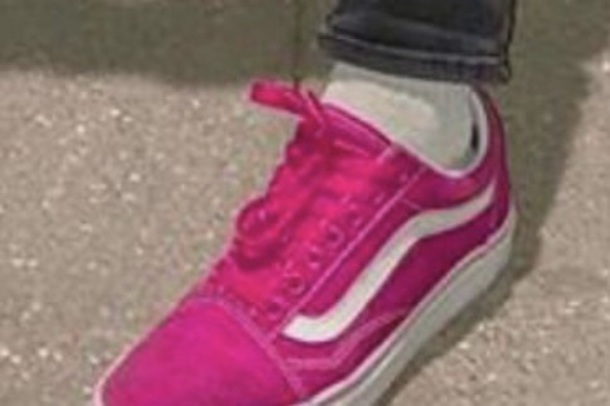shoes, bright hot pink, velvet, vans 