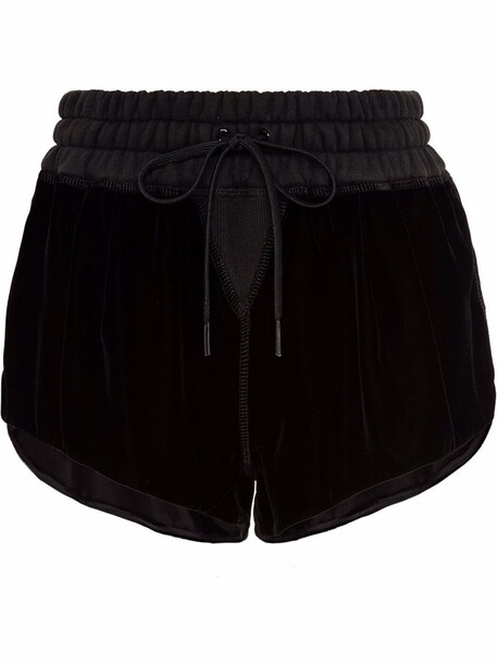 Miu Miu embroidered-logo velvet mini shorts - Black