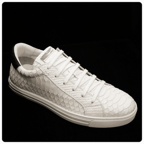 crocodile white sneakers